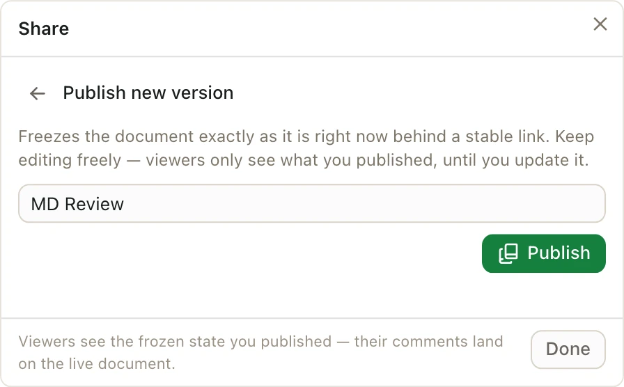 The Publish new version form with the name MD Review
